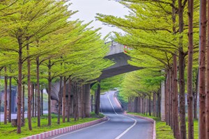 Có định mức để địa phương tham khảo